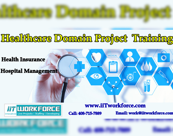 Business Analysis with Health Care Domain Project Training
