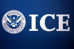 ICE arrests, 130 arrested, us 129 indians among 130 students arrested in pay to stay immigration fraud, Immigration lawyer