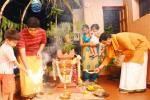 Tulsi Puja, puja of tulsi, tulsi puja, Tulsi puja