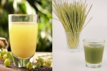 Amla Juice Vs Wheatgrass Juice comparision, Amla Juice Vs Wheatgrass Juice liver, amla juice vs wheatgrass juice for fatty liver, Amla juice