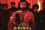 Animal Filmfare, Animal film, record breaking nominations for animal, Nominatio