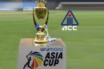 PCB, Saurav Ganguly, asia cup is canceled bcci president saurav ganguly, Bcci president