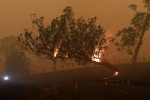 rains, bushfires, australia fires warnings of huge blazes ahead despite raining, Wildfire