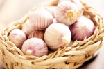 Chinese garlic banned, Chinese garlic new breaking, how to identify banned chinese garlic in the indian market, Pesticides