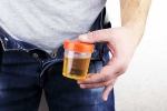 Hidden Kidney Cancer Risks, Hidden Kidney Cancer Risks, spotting blood in urine can reveal hidden kidney cancer risks, Cancer