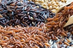 Brown Rice, Brown Rice Vs Black Rice differences, brown rice vs black rice which one is healthier, Paris