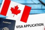 Canada's study visa approvals for students of India, Canada's study visa approvals Indian students, canada s study visa approvals for indian students to drop by 50 in 2024, Universities