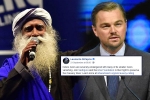 Leonardo DiCaprio support to cauvery calling, sadhguru, civil society groups ask dicaprio to withdraw support for cauvery calling, Nawazuddin siddiqui