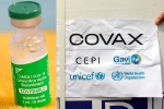 Covishield, COVAX news, sii to resume covishield supply to covax, Oxford university