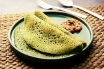 Curry Leaves Dosa preparation, Curry Leaves Dosa breaking news, recipe curry leaves dosa, Curry leaves dosa