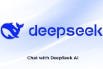 DeepSeek, DeepSeek new update, deepseek releases janus pro 7b image generation ai model, Investors