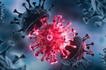 USA Coronavirus rise, USA Coronavirus breaking news, delta variant makes usa tensed again, Pfizer