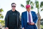 Elon Musk, Donald Trump and Elon Musk, donald trump finally addresses rumors about elon musk, Democrats