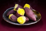 Sweet Potato experts, Sweet Potato latest news, what happens if you eat sweet potato everyday, Vitamins