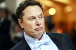 Elon Musk, Elon Musk India visit breaking updates, elon musk s india visit delayed, Mm arts