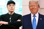 Elon Musk Vs Donald Trump breaking, Elon Musk Vs Donald Trump updates, elon musk s latest attack on donald trump, Donald trump