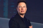 Elon Musk updates, Elon Musk updates, elon musk talks about cage fight again, Charity
