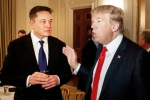 Elon Musk new updates, Donald Trump's Campaign breaking, elon musk donates for donald trump s campaign, Pocket