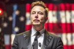 Donald Trump, Musk reply on social media, is elon musk in the trump cabinet, Political parties