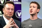 Elon Musk and Mark Zuckerberg, Elon Musk and Mark Zuckerberg war, elon vs zuckerberg mma fight ahead, John