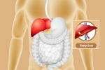 Fatty Liver cure, Fatty Liver changes, dangers of fatty liver, Oci
