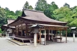 Japan Viral Mikami Shrine videos, Japan Viral Mikami Shrine breaking updates, why are travellers flocking to japan s viral mikami shrine, Video