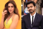 Kriti Sanon with Vamshi Paidipally, Kriti Sanon new movies, kriti sanon to romance vijay in his next, Kadi
