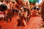 la tomatina tickets, la tomatina 2019 barcelona, la tomatina 2019 thousands hurl fruit at fun food festival, Food festival