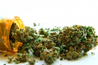 Medical Marijuana Available in Florida
