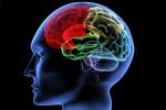 mental activity, Brain: Use it or lose it, brain use it or lose it, Alzheimer disease