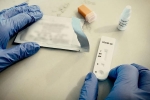 Antibodies tested on monkeys, Prototype Vaccine, monkeys get protection against coronavirus through a prototype vaccine, Monkeys