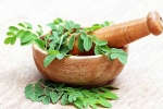 Moringa in diet, Moringa for health, is moringa a must have in your diet, Stress