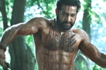 RRR updates, Ramaraju for Bheem latest updates, ramaraju for bheem ntr s deadly transformation as komaram bheem, Ramaraju for bheem