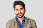 Naga Chaitanya, Love Story, interesting title for naga chaitanya s next, Majili