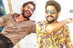 Naga Chaitanya breaking news, Naga Chaitanya new films, naga chaitanya gearing up with two films, Nagarjuna akkineni