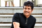 Nagarjuna new projects, Nagarjuna next film, nagarjuna s 100th film will be a multi starrer, Wild dog