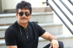 Nagarjuna news, Nagarjuna next movie, nagarjuna s 100th film locked, Bangarraju