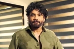 Nagarjuna Personal Rights latest breaking, Nagarjuna Personal Rights updates, delhi high on nagarjuna s personal rights, Actress