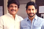 Nagarjuna breaking news, Nagarjuna latest, nagarjuna s clarification on naga chaitanya s divorce, Nagarjuna akkineni