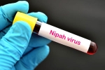 suspected Nipah Virus, suspected Nipah Virus, nipah virus is back again two deaths registered, Virus
