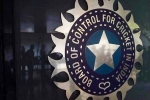 World Cup 2027 India Probables new updates, Team India, odi world cup 2027 probables decided by bcci, Ipl 2026
