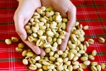 Pistachios latest, Pistachios rich in proteins, pistachios are a perfect protein snack, Nutrients