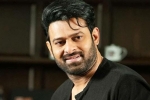 Prabhas next movie, Prabhas updates, prabhas to join project k from november, Ashwini dutt