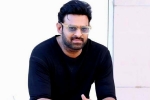 Prabhas updates, Prabhas news, prabhas to return back to work, Ashwini dutt