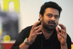 Prabhas next film, Maruthi, two young beauties in talks for prabhas next, Pelli sandad