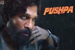 Allu Arjun shooting updates, Sukumar, pushpa to be released in two installments, Puspha