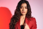 Rashmika and Manager details, Rashmika and Manager, rashmika mandanna clears air, Animal film