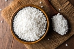Sabudana latest breaking, Sabudana disadvantages, is sabudana good for health, Fruits