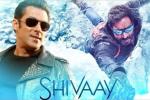 Salman Khan news, Ajay Devgn, salman khan to promote shivaay, Big boss
