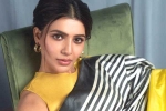 Samantha new movies, Samantha latest, samantha in talks for one more bollywood film, Vicky kaushal